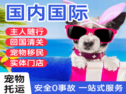 舟山普陀山机场空运国际宠物托运 【国